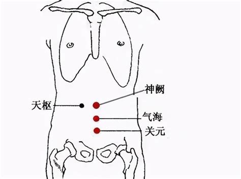 氣海關元位置|氣海的作用與功效 氣海的準確位置